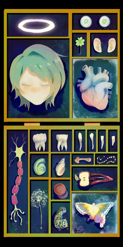 Toki